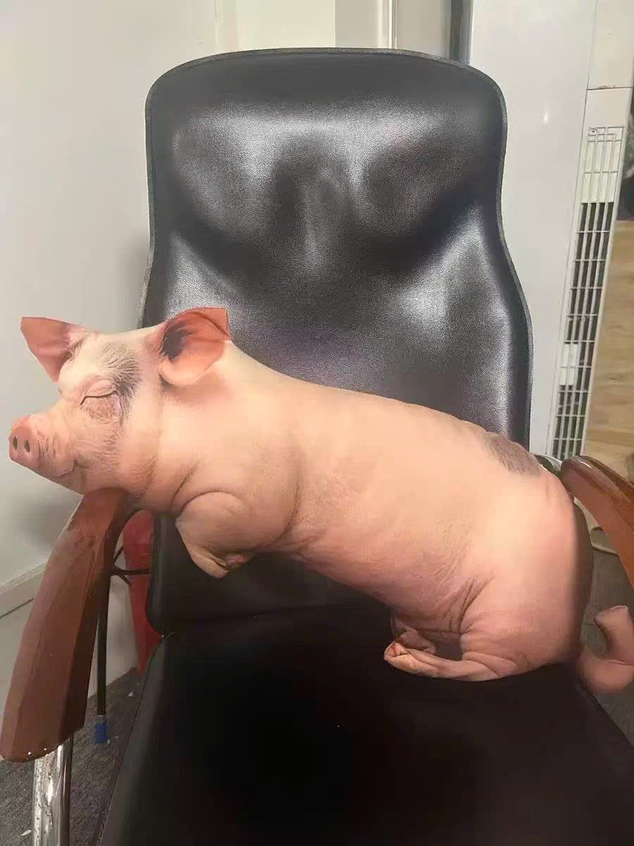 GỐI ÔM 3D HÌNH CHÚ LƠN ĐÁNG YÊU