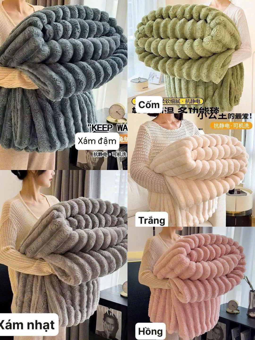 GOM - CHĂN LÔNG CỪU 5 MÀU