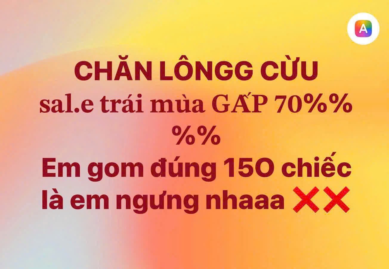 GOM - CHĂN LÔNG CỪU 5 MÀU