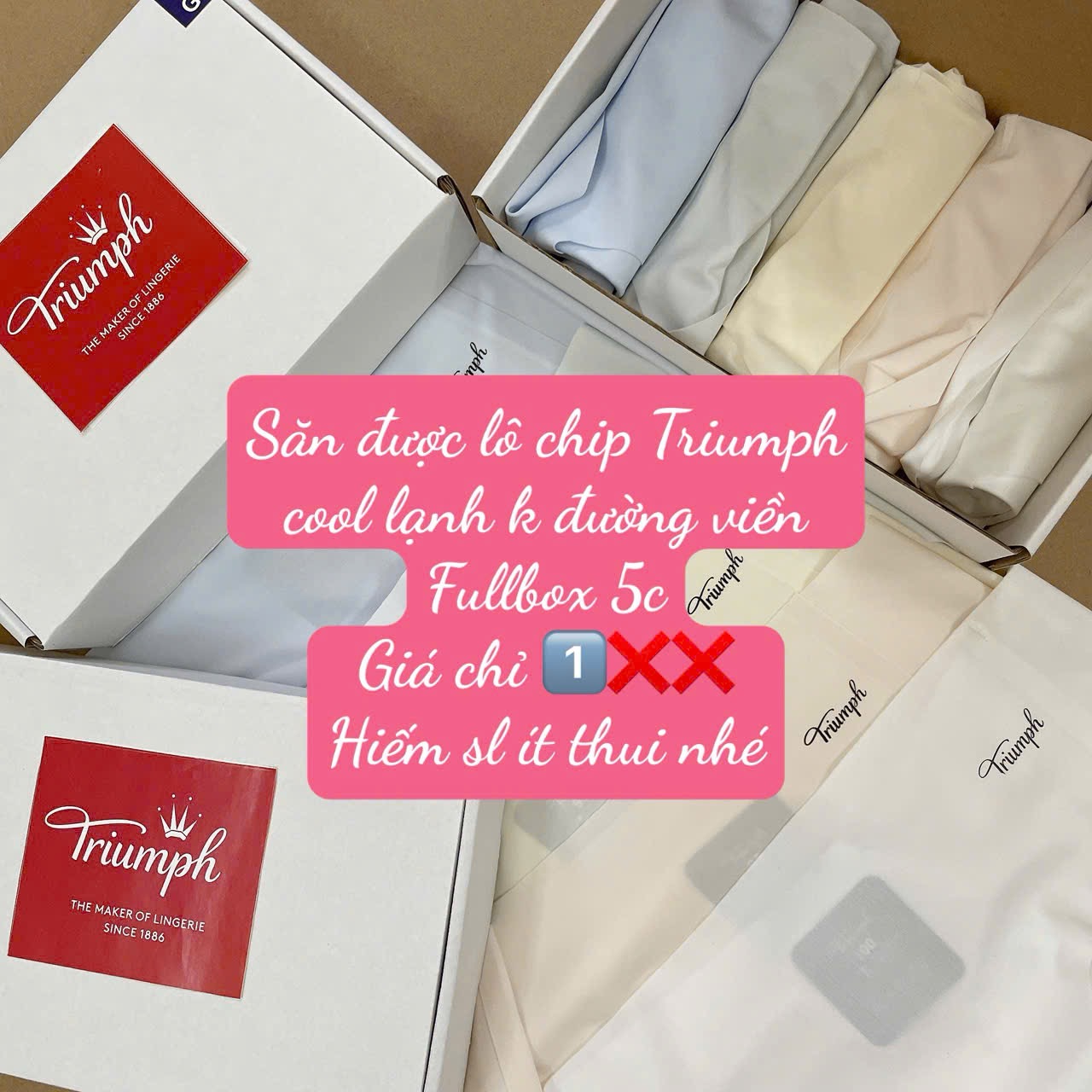 SET 5 QUẦN LÓT TRIUMP COOL LẠNH XUẤT DƯ