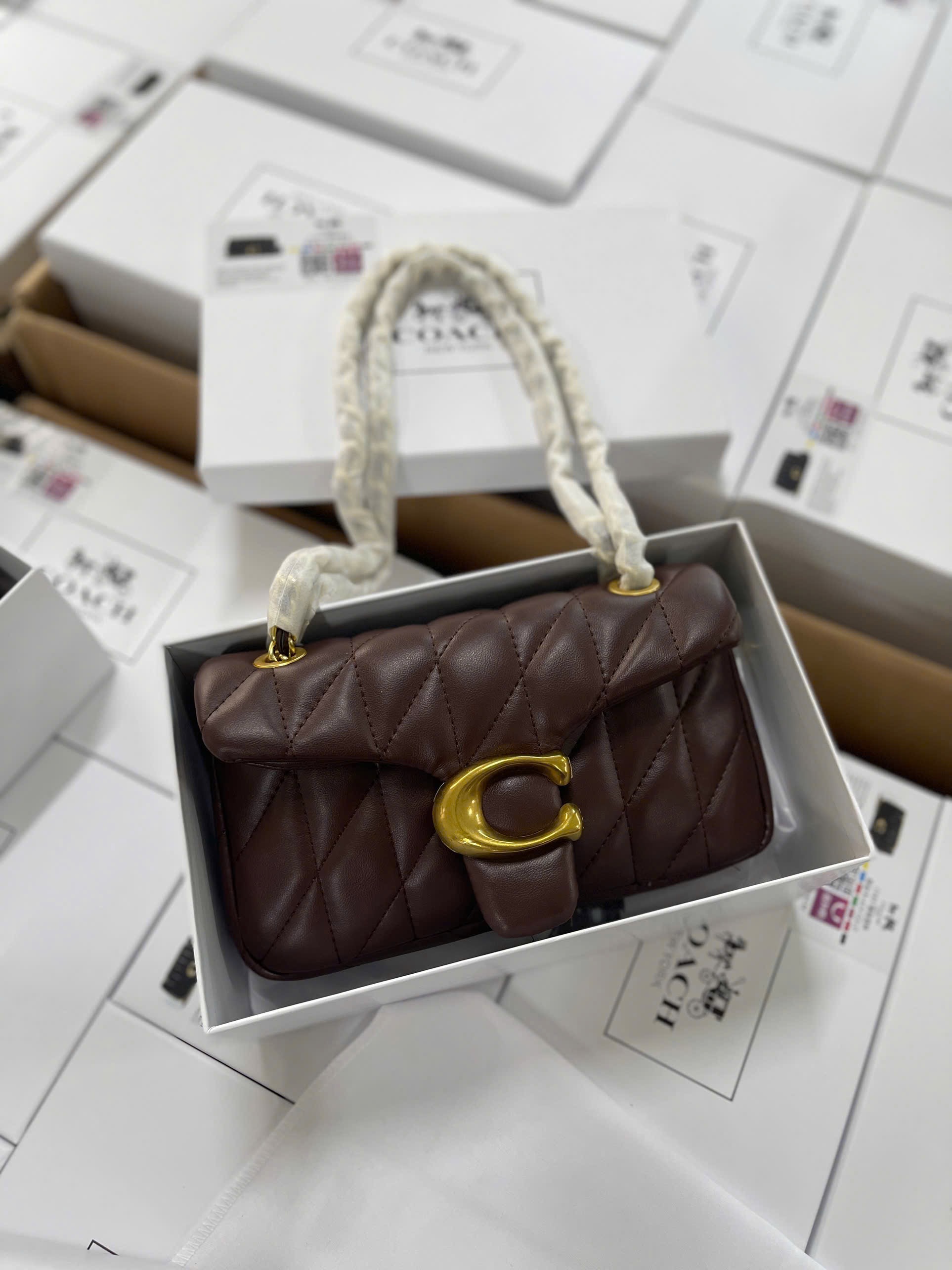 Gom - TÚI XÁCH COACH BABY NÂU FULL BOX