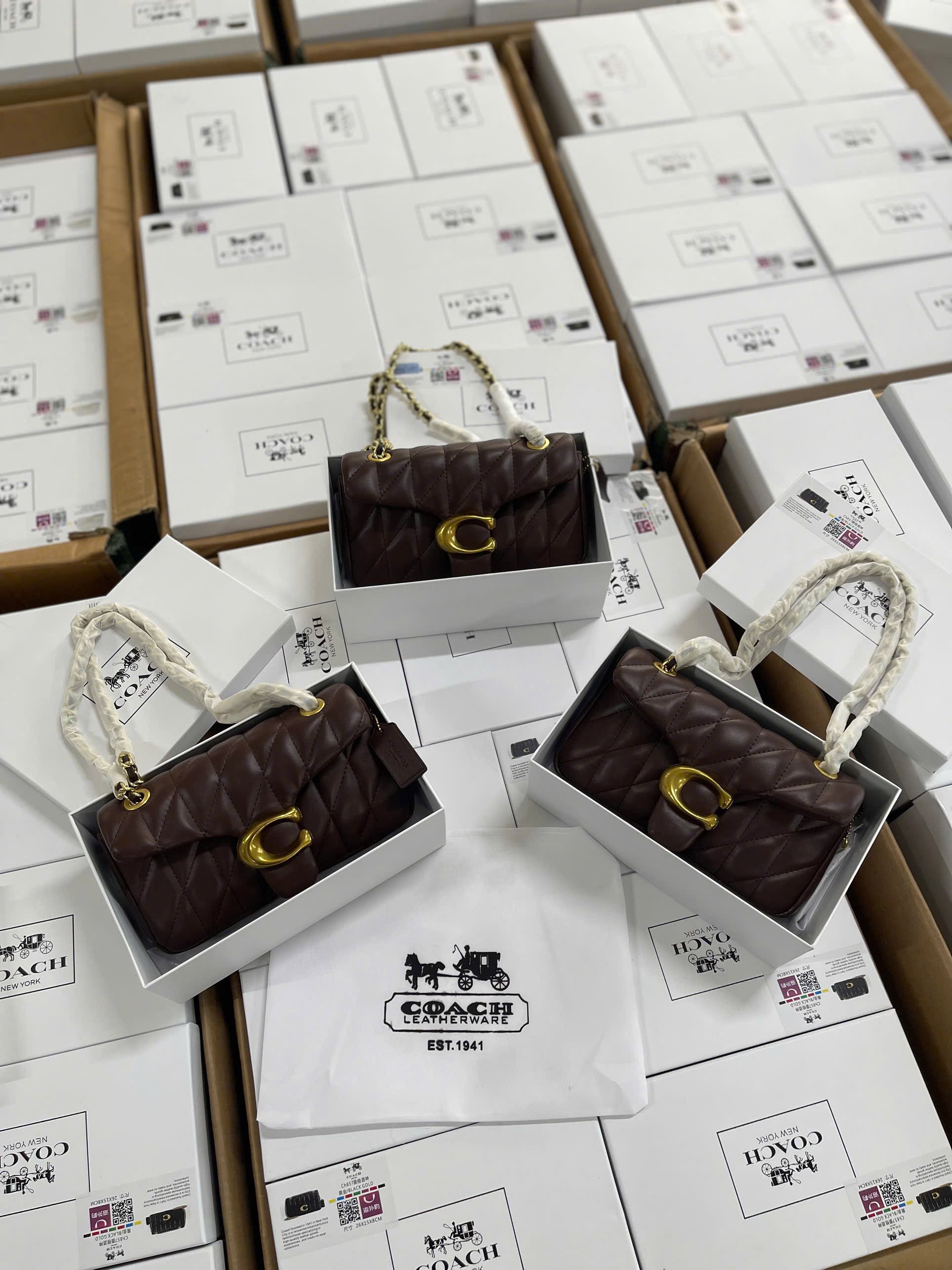 Gom - TÚI XÁCH COACH BABY NÂU FULL BOX