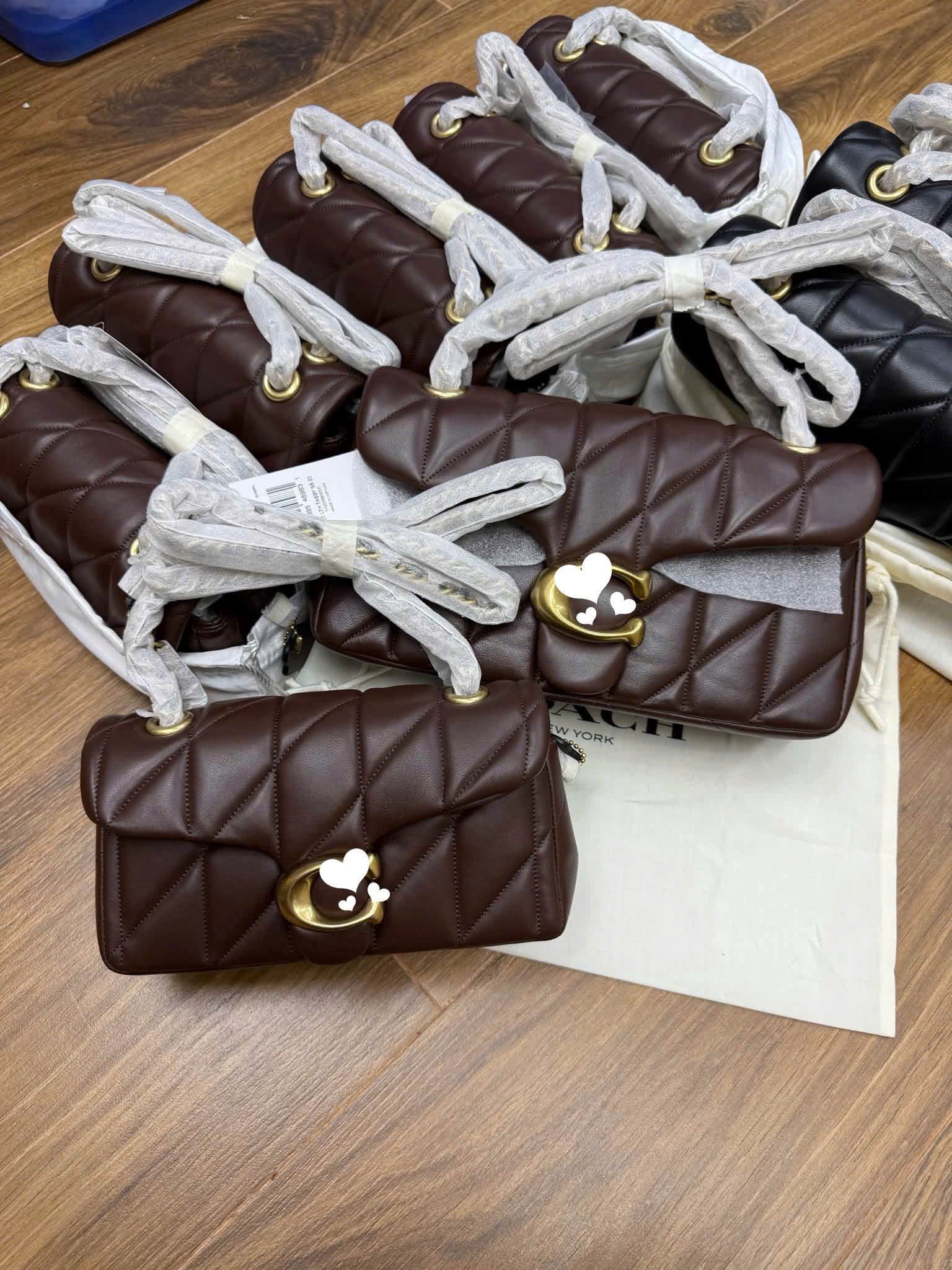 Gom - TÚI XÁCH COACH BABY NÂU FULL BOX