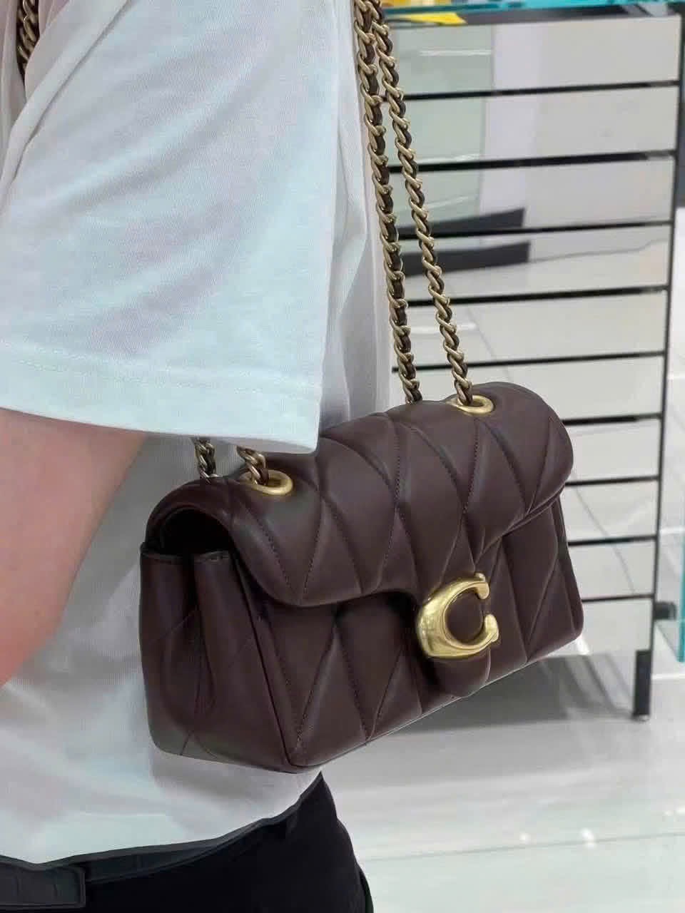 Gom - TÚI XÁCH COACH BABY NÂU FULL BOX