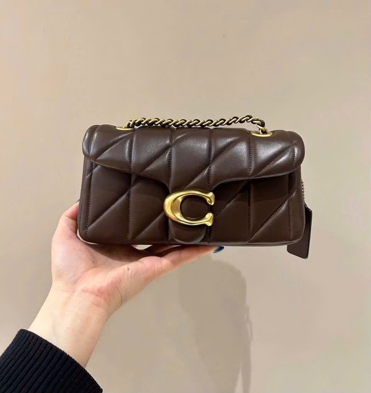 Gom - TÚI XÁCH COACH BABY NÂU FULL BOX