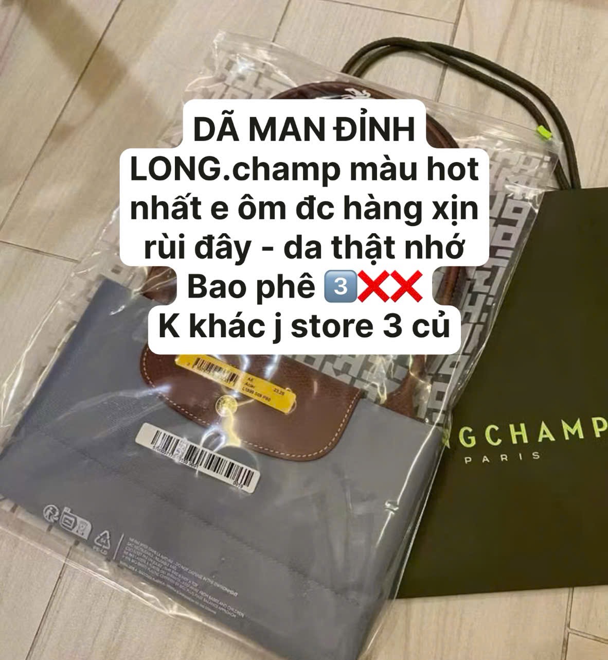 Hàng xuất dư - TÚI XÁCH LOONGCHARM PHỐI DA THẬT MÀU XANH