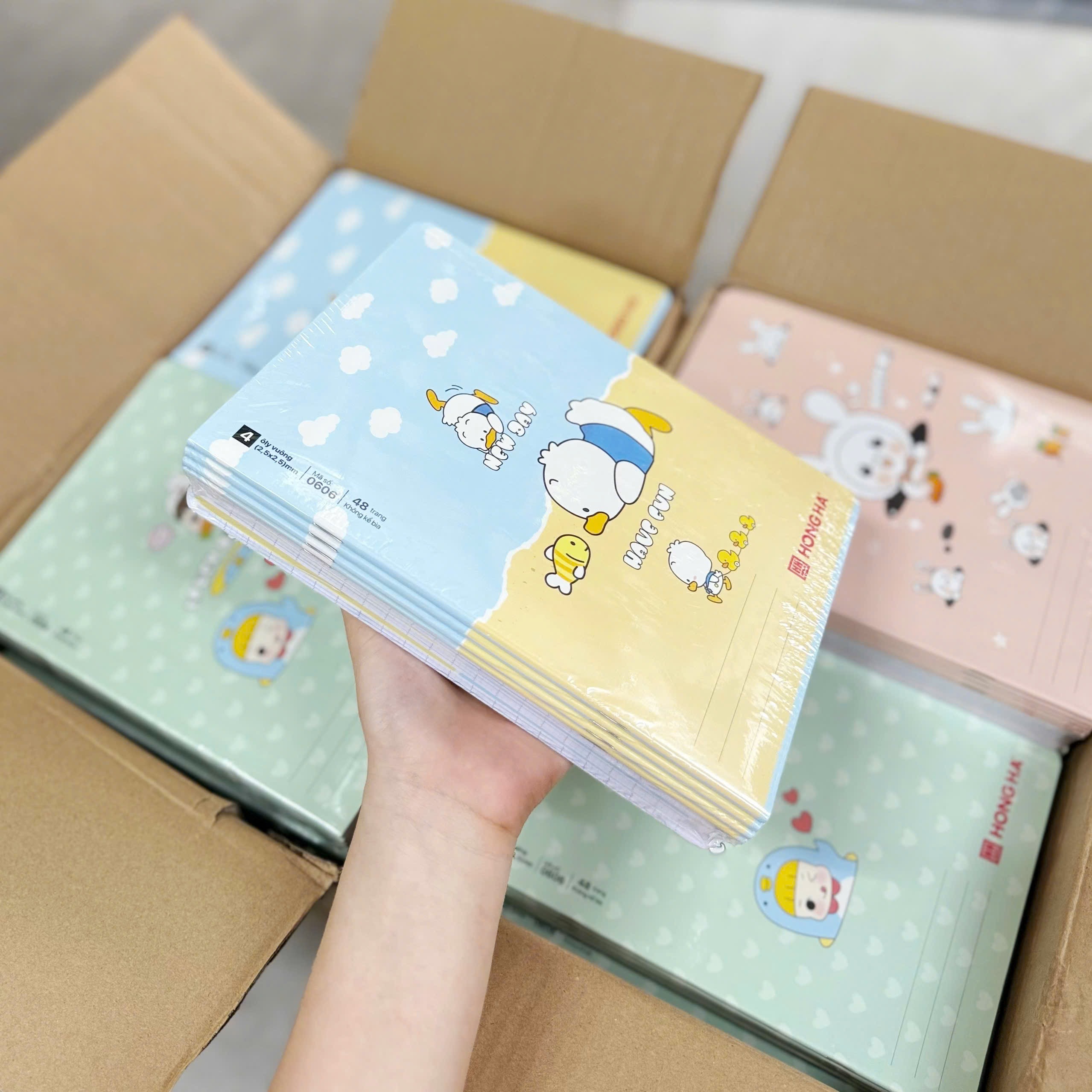 SÉT 10 QUYỀN VỞ HỒNG HÀ LOẠI 48 TRANG