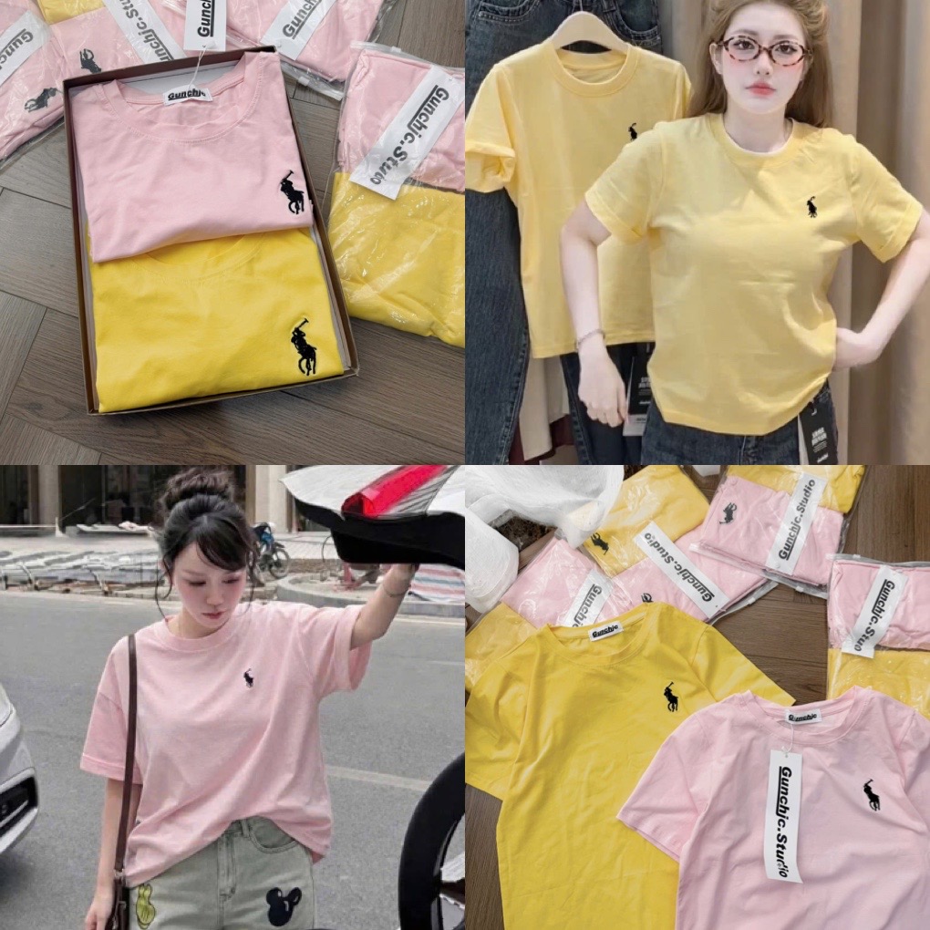SET 2 ÁO COTTON CỘC TAY THÊU NGỰA VÀNG HỒNG