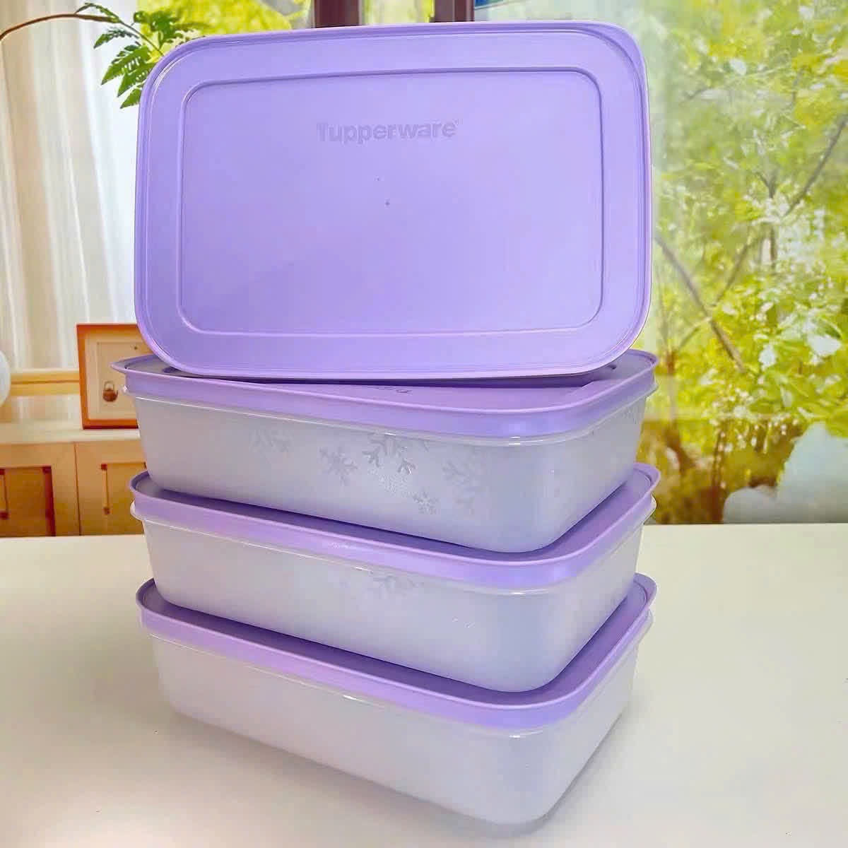 GOM - SET 4 HỘP TUPE DẸT ĐỰNG THỰC PHẨM 1L