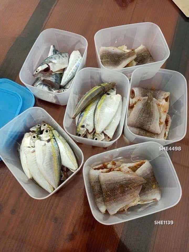 SET 6 HỘP TUPP TRỮ ĐÔNG 1.7L CHÍNH HÃNG FULL BOX