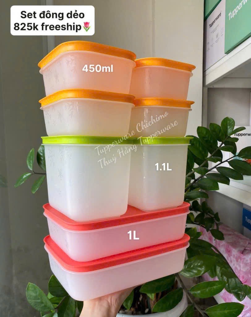 SÉT 8 HỘP ĐỰNG THỰC PHẨM TUPPERWAREv XUẤT XỊN