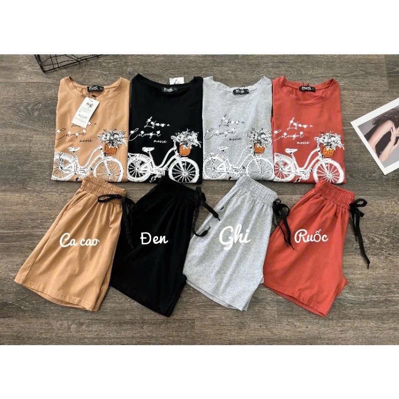 XẢ KHO BỘ XE ĐẠP 3 MÀU CHO NỮ