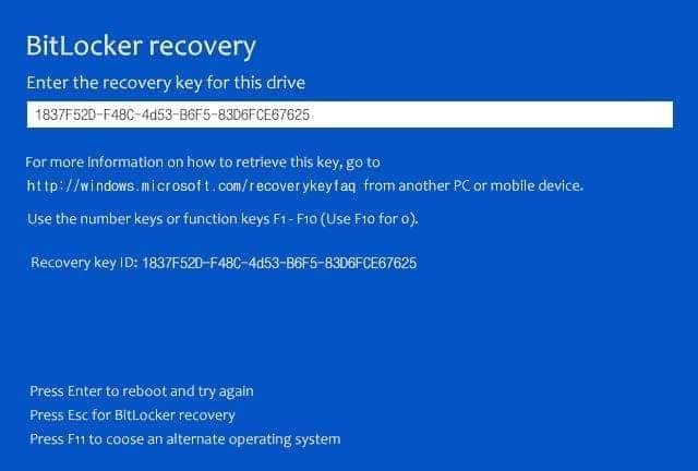 Windows 11 24H2 sẽ bật mã hóa BitLocker theo mặc định, kể cả phiên bản gia đình