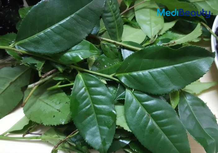 Xông mặt bằng trà xanh có giúp trắng da, giảm mụn không?