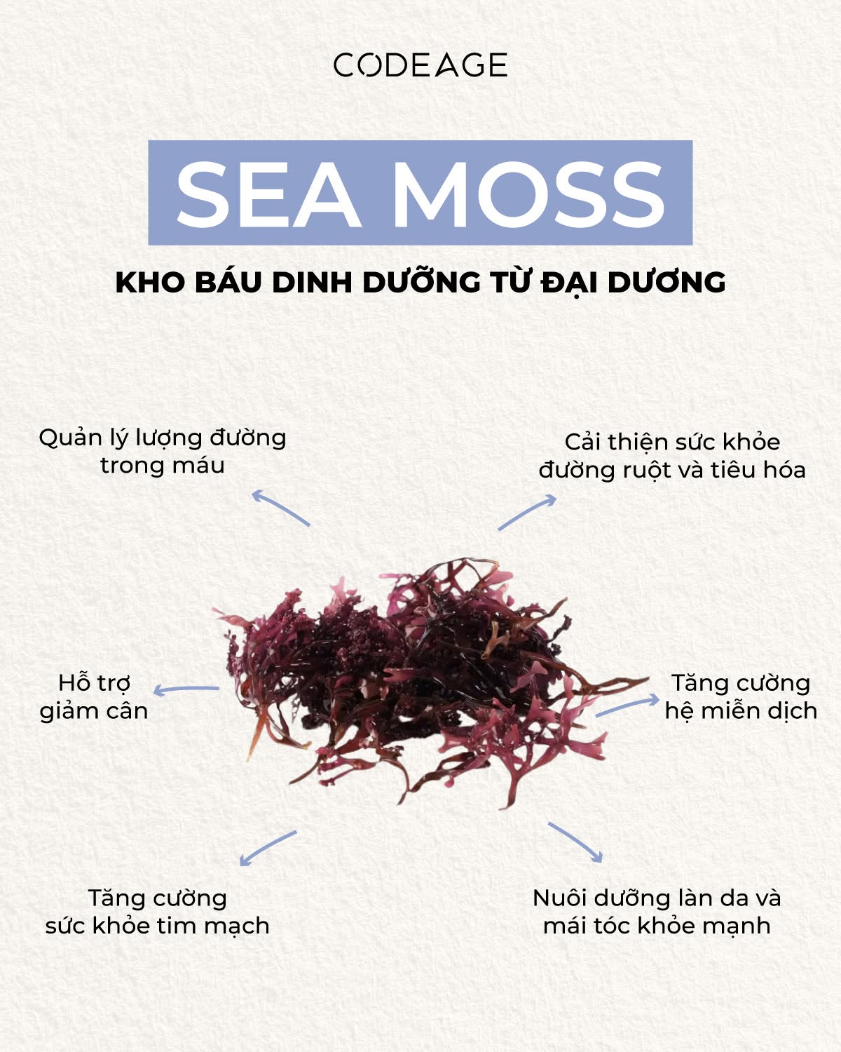 Kẹo dẻo rong biển bổ sung khoáng chất nâng cao sức khoẻ Codeage Sea Moss Gummies.jpg