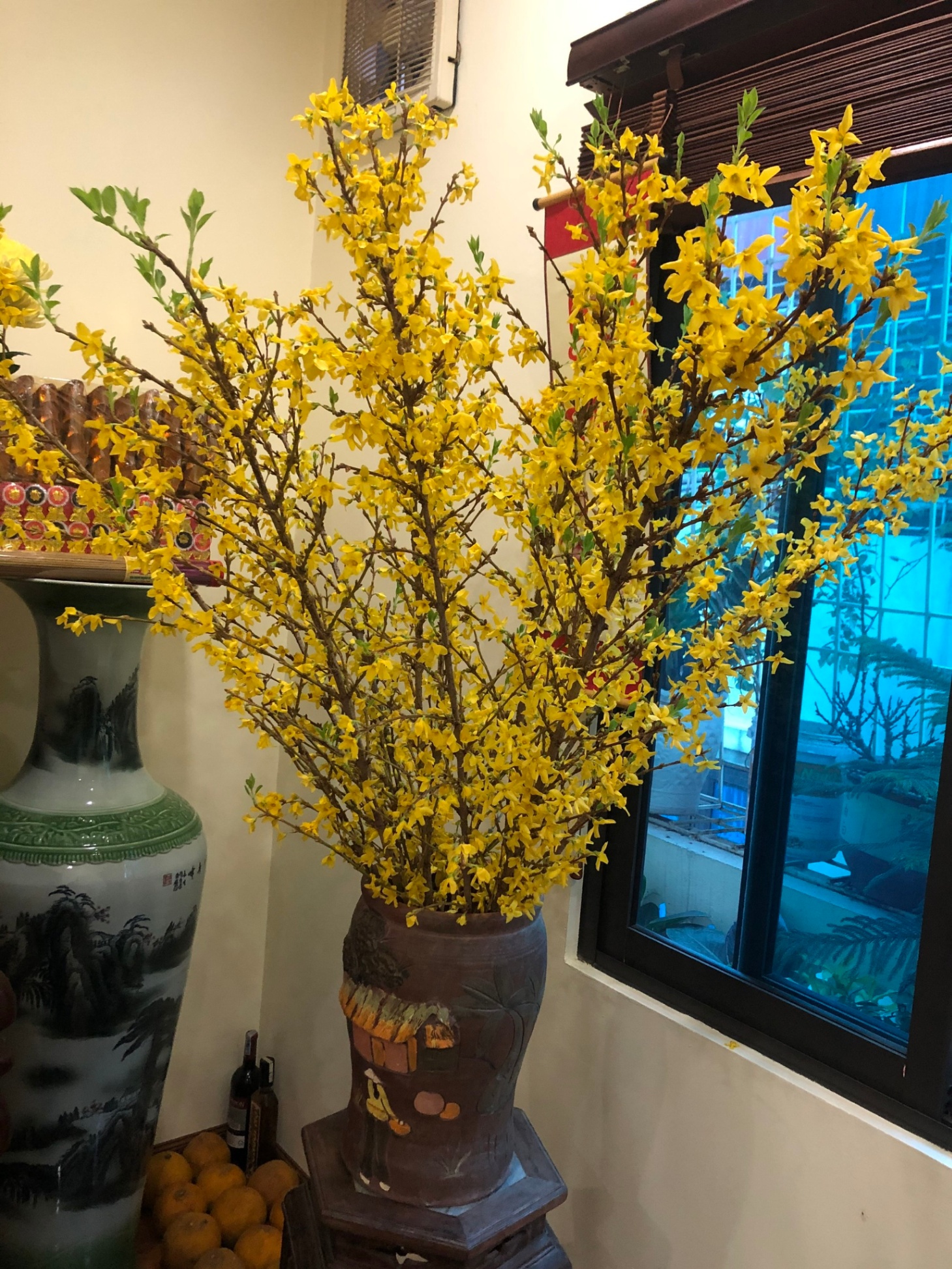 MAI MỸ HÀ LAN (FORSYTHIA) 110CM- HOA NHẬP KHẨU CHO TẾT 2024