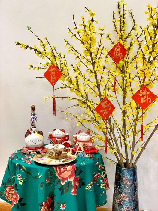 MAI MỸ HÀ LAN (FORSYTHIA) 110CM- HOA NHẬP KHẨU CHO TẾT 2024