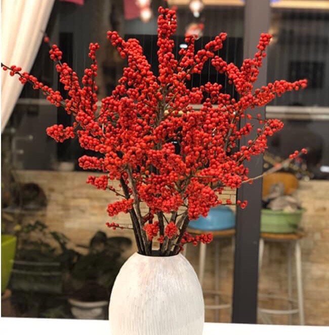 Đào đông Hà Lan (Ilex) size 80cm - Hoa nhập khẩu cho Tết 2024