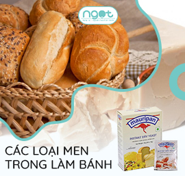 Phân biệt các loại men nở trong làm bánh