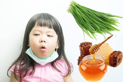 5-cach-giam-ho-tu-nhien-cho-tre-ma-khong-dung-khang-sinh-duoc-chuyen-gia-khuyen-nghi-1.jpg