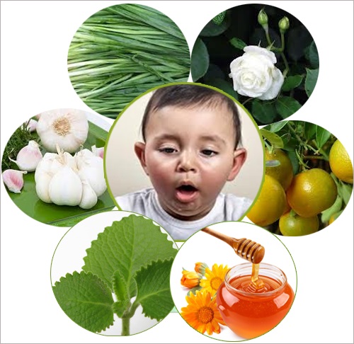 5-cach-giam-ho-tu-nhien-cho-tre-ma-khong-dung-khang-sinh-duoc-chuyen-gia-khuyen-nghi-3.jpg
