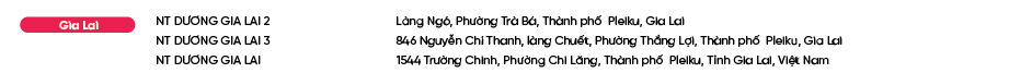 Diem-ban-Bao-Phe-Nhi_Gia Lai.png