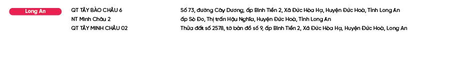 Diem-ban-Bao-Phe-Nhi_Long An.png