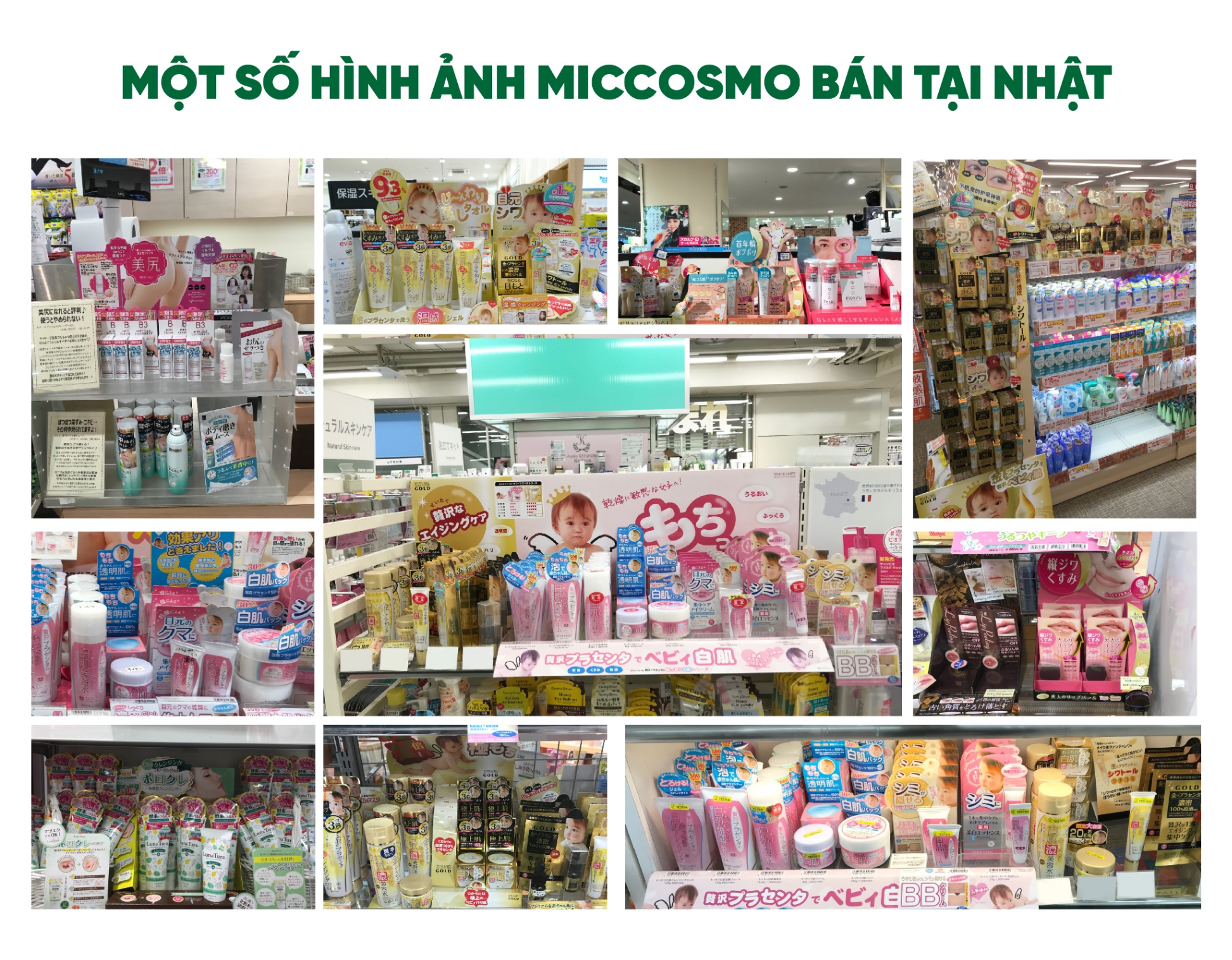 20251224_Cuux6qch.jpg