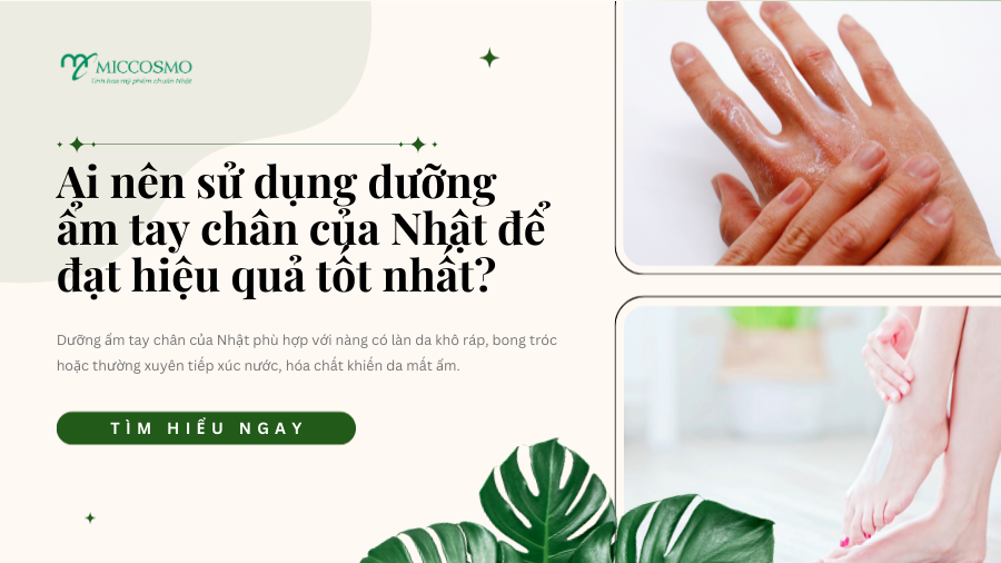 5-ly-do-duong-am-tay-chan-Nhat-duoc-danh-gia-cao_Ai-nen-su-dung-duong-am-tay-chan-cua-Nhat .png