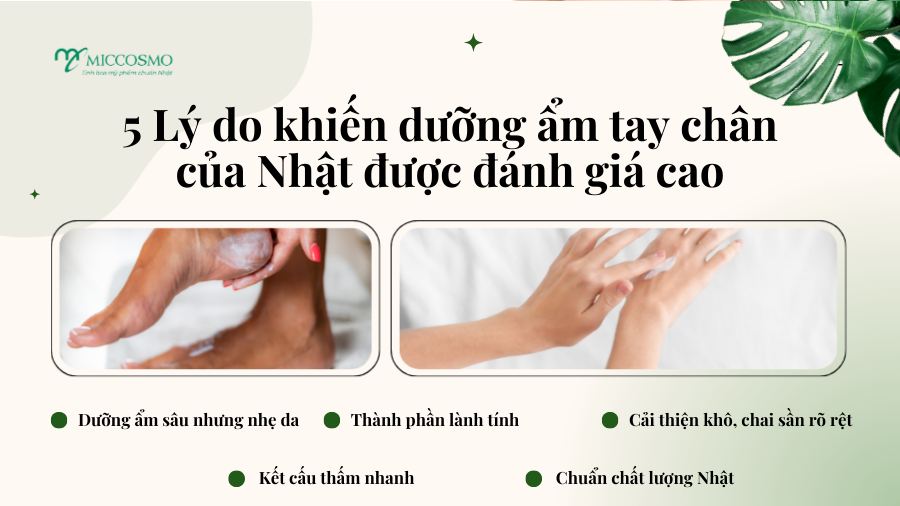 5-ly-do-duong-am-tay-chan-Nhat-duoc-danh-gia-cao_Nhung-ly-do-khien-duong-am-tay-chan-cua-Nhat-duoc-ua-chuong .png