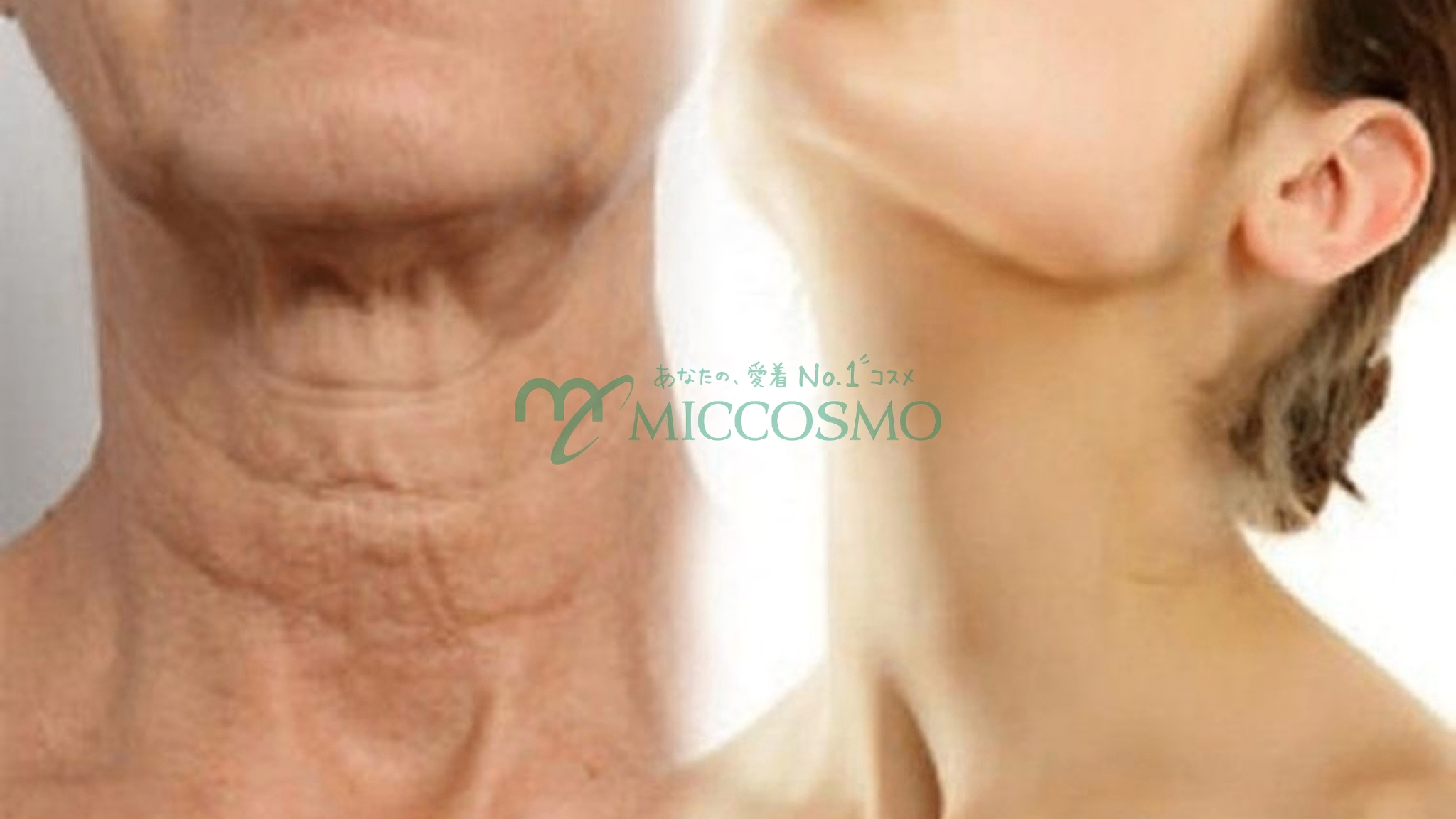 HURRY-HARRY-PREMIUM-NECK-CREAM-Huong-Dan-Cham-Soc-Da-Vung-Co-Chuan-Spa-Ngay-Tai-Nha_blob-1.png