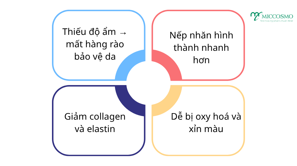 da-kho-nhanh-lao-hoa-2.png