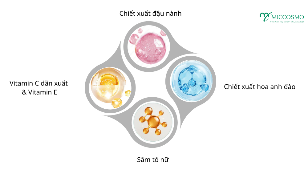 serum-duong-hong-nhu-hoa-miccosmo-beppin-body-6.png