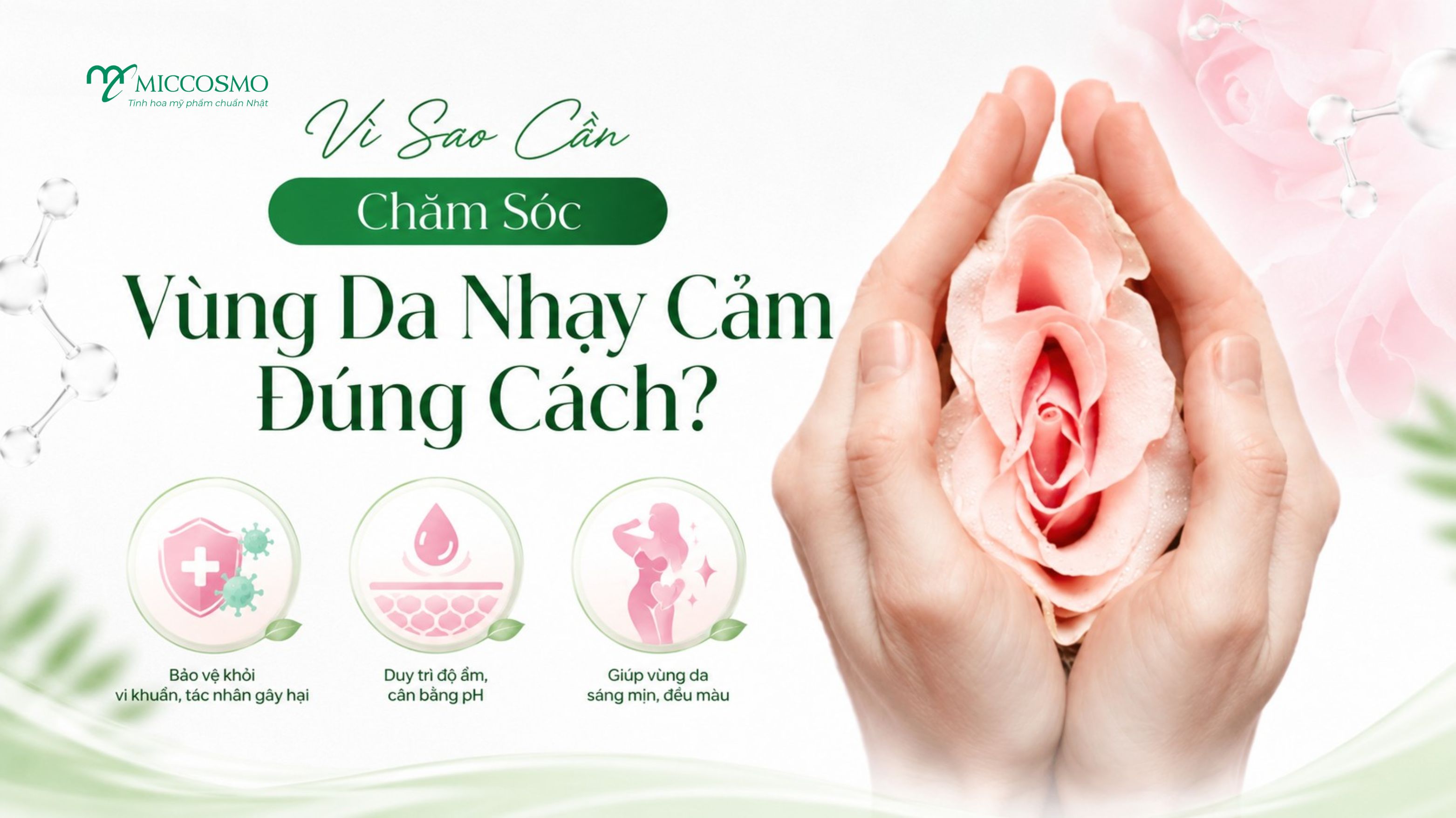 Cẩm Nang Chăm Sóc Vùng Da Nhạy Cảm