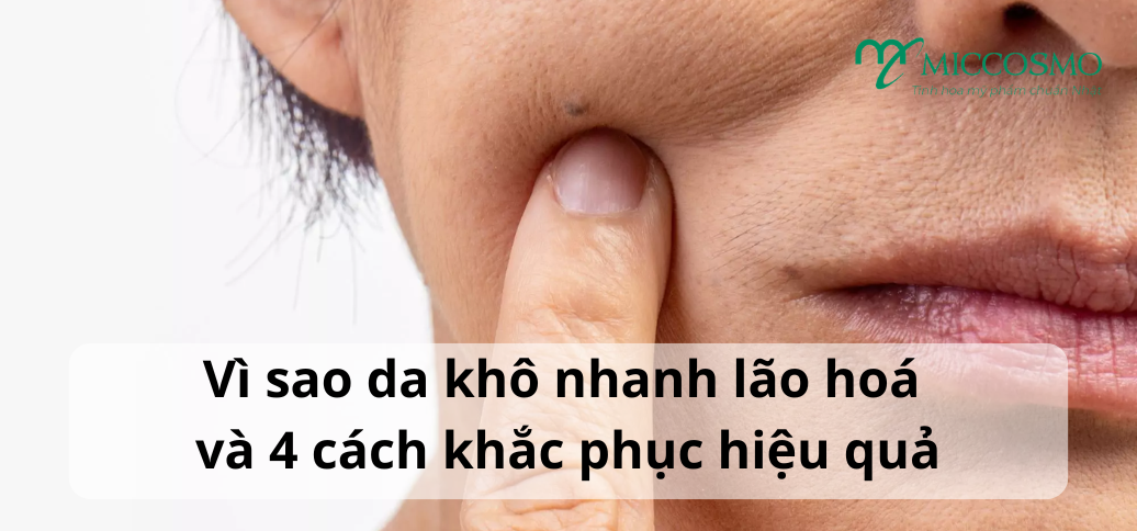 Vì sao da khô nhanh lão hoá và 4 cách khắc phục hiệu quả