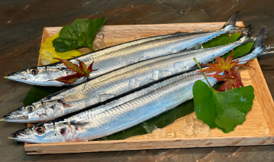 HS-16 Cá thu đao Nhật 秋刀魚-日本進口 300g