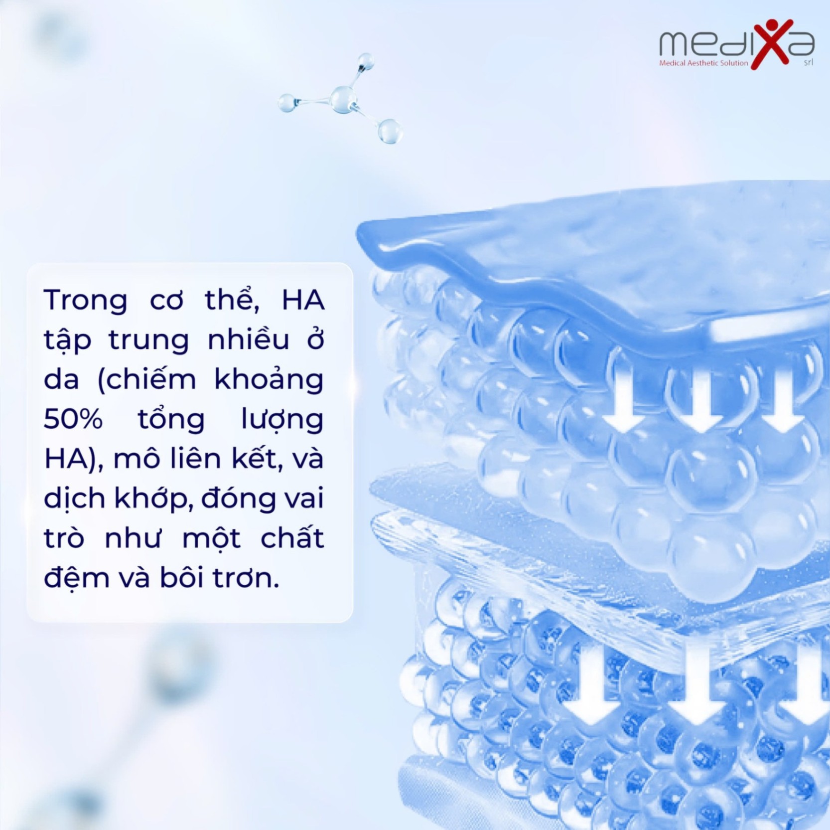 Tinh chất tiêm BAP trẻ hóa da tiên tiến từ Ý Ejal 40 hộp 2ml