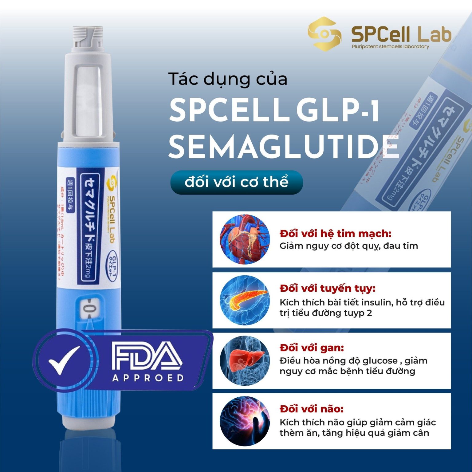 semaglutide size Semaglutide semaglutide size Semaglutide