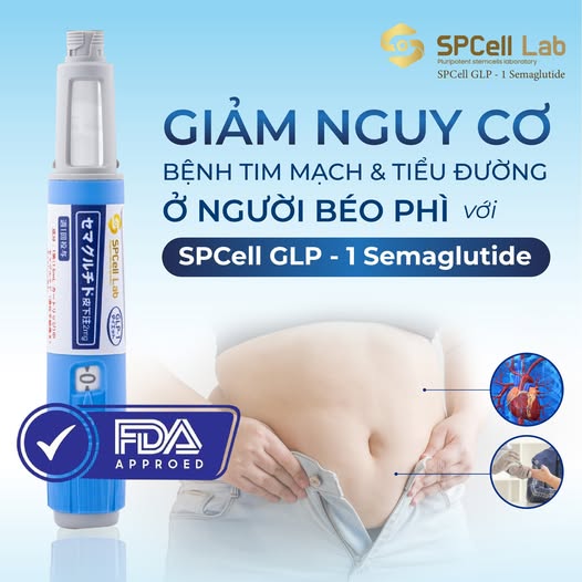 semaglutide and ghrelin Hormonal changes and diagram of the ghrelin signal pathway. (A) The