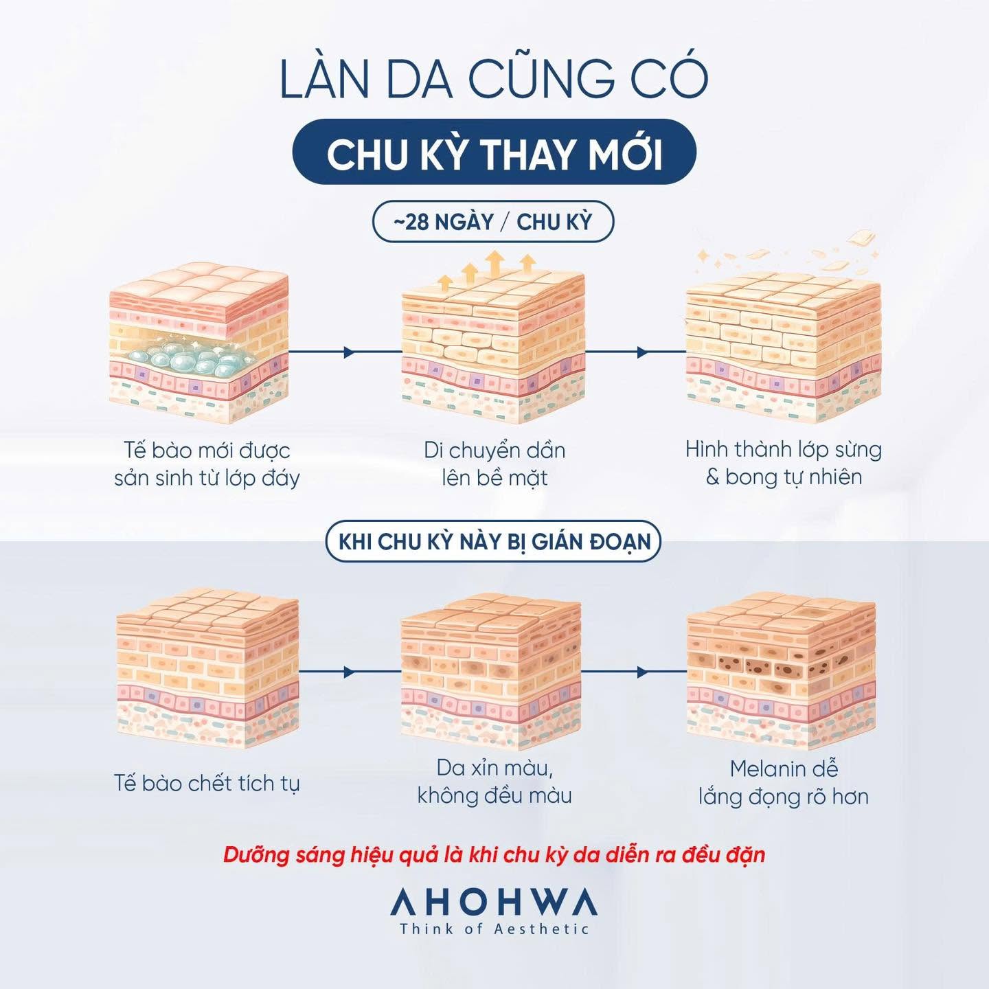 Dung dịch peel dành cho mọi loại da Ahohwa Triangle Peel Pa
