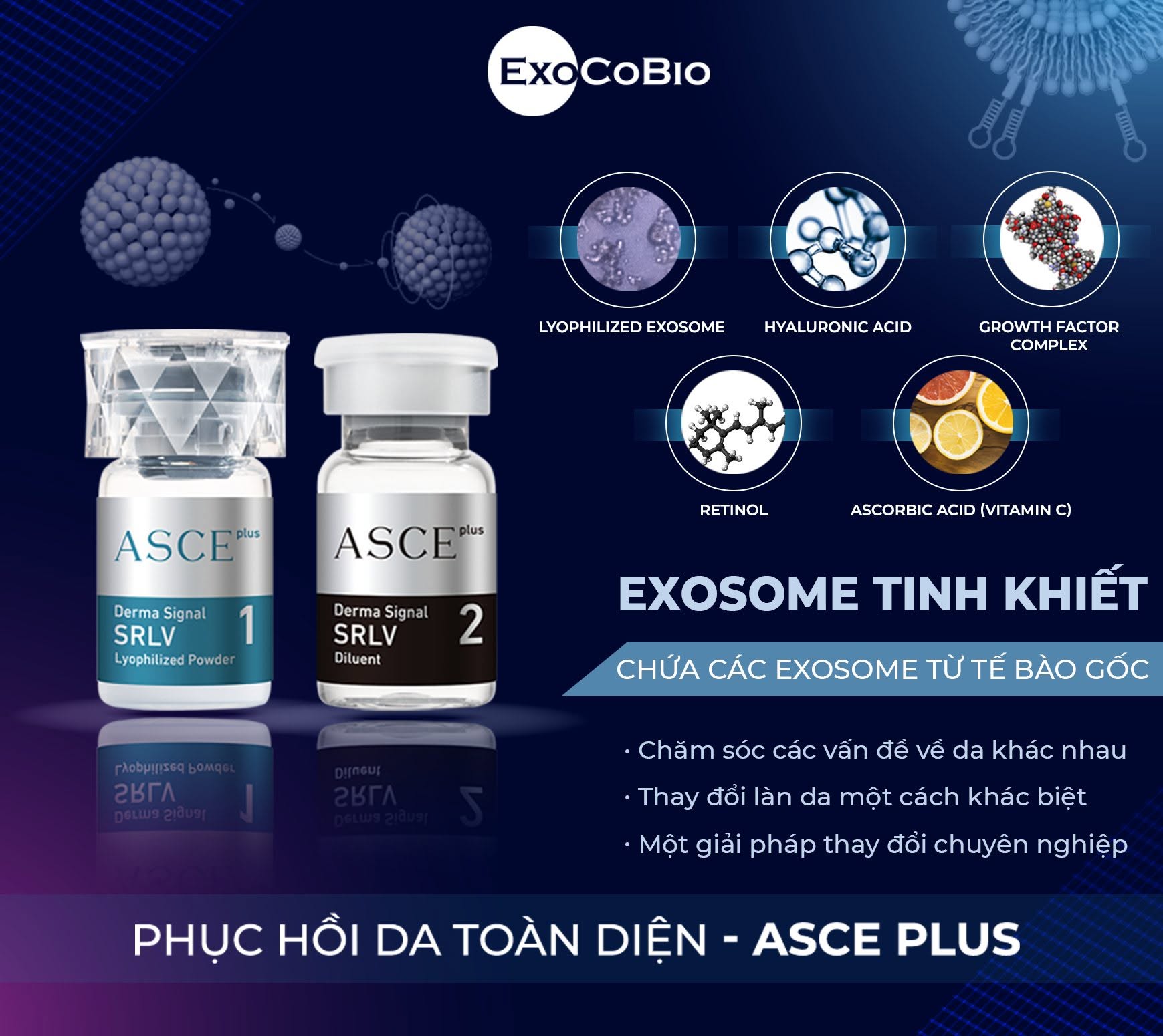Exosome Asce+ Derma Signal Kit – Tinh Chất Meso Exosome Căng Bóng, Phục Hồi Và Trẻ Hóa Da