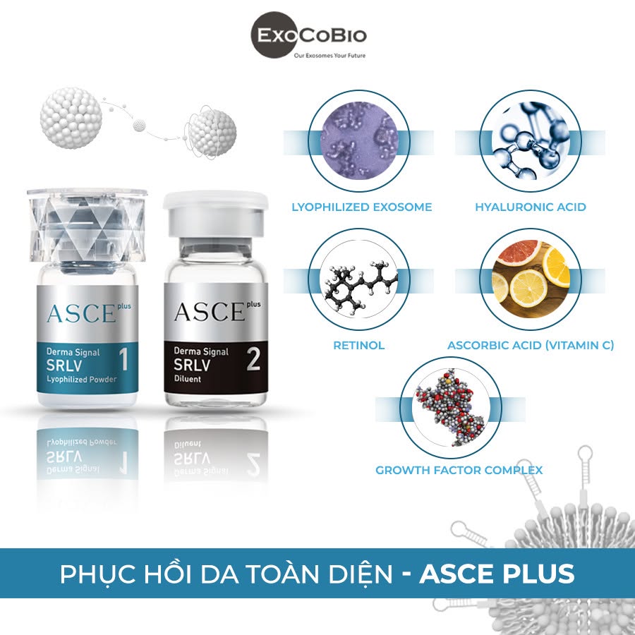 Exosome Asce+ Derma Signal Kit – Tinh Chất Meso Exosome Căng Bóng, Phục Hồi Và Trẻ Hóa Da