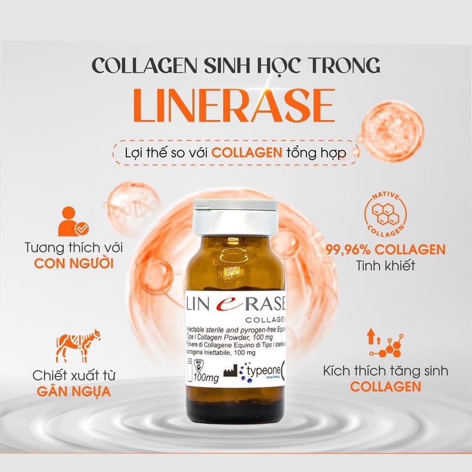 LINERASE COLLAGEN – PHỤC HỒI & TÁI TẠO DA THẾ HỆ MỚI BẰNG COLLAGEN SINH HỌC