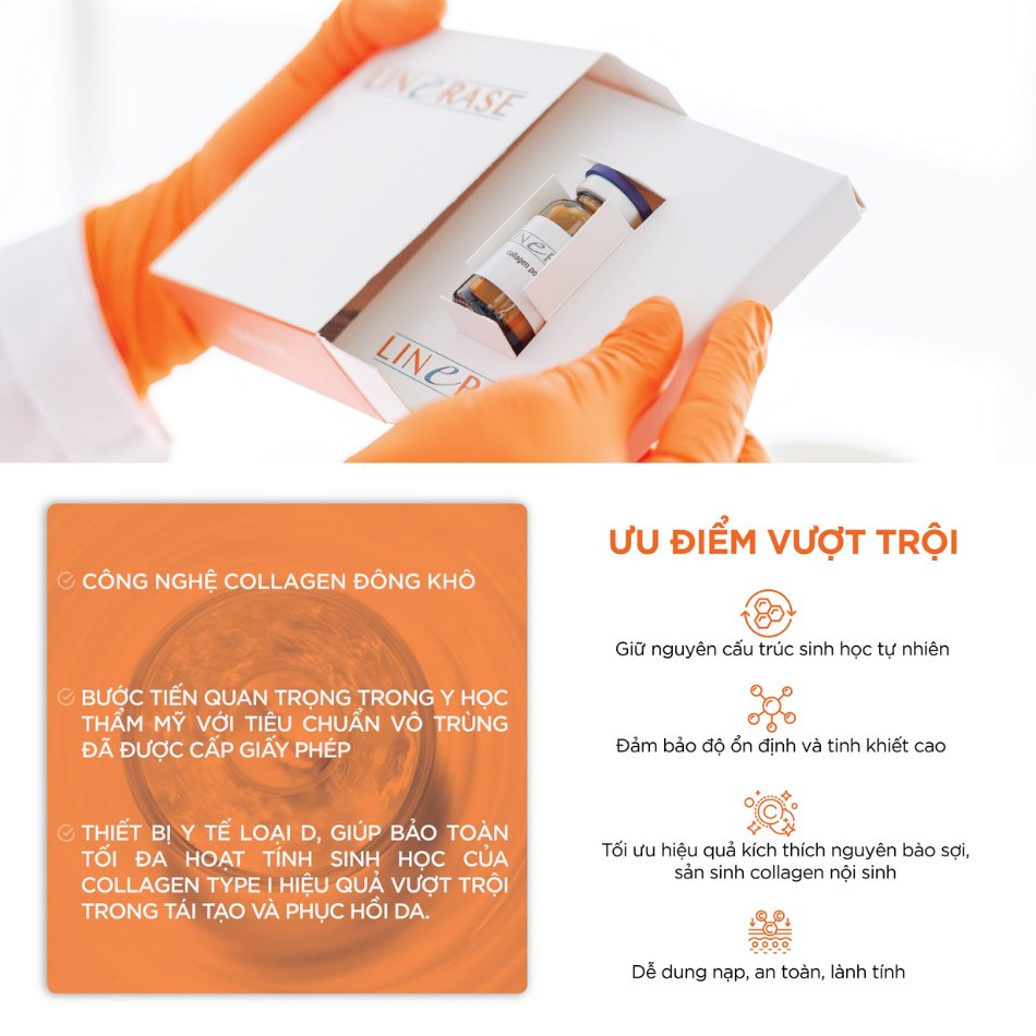 LINERASE COLLAGEN – PHỤC HỒI & TÁI TẠO DA THẾ HỆ MỚI BẰNG COLLAGEN SINH HỌC