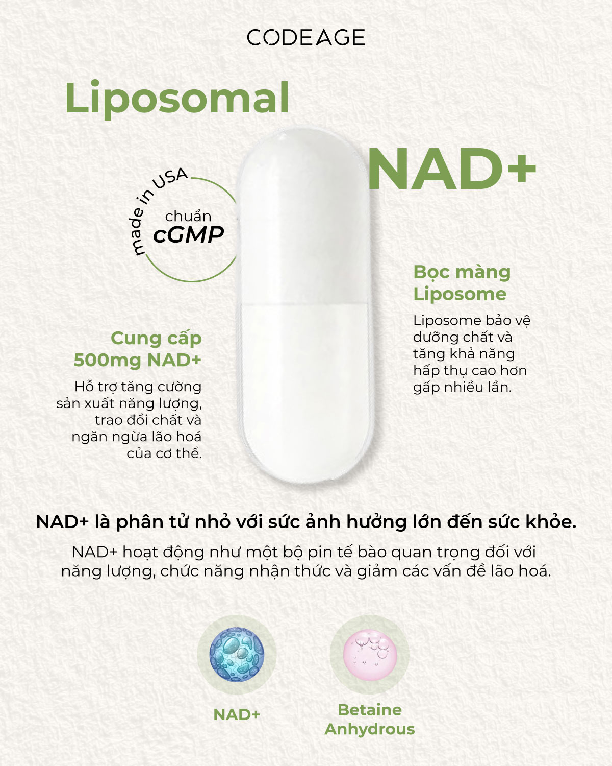 Liposomal NAD+ Codeage – Hỗ Trợ Chống Lão Hóa, Tăng Năng Lượng Tế Bào & Bảo Vệ Sức Khỏe Toàn Diện