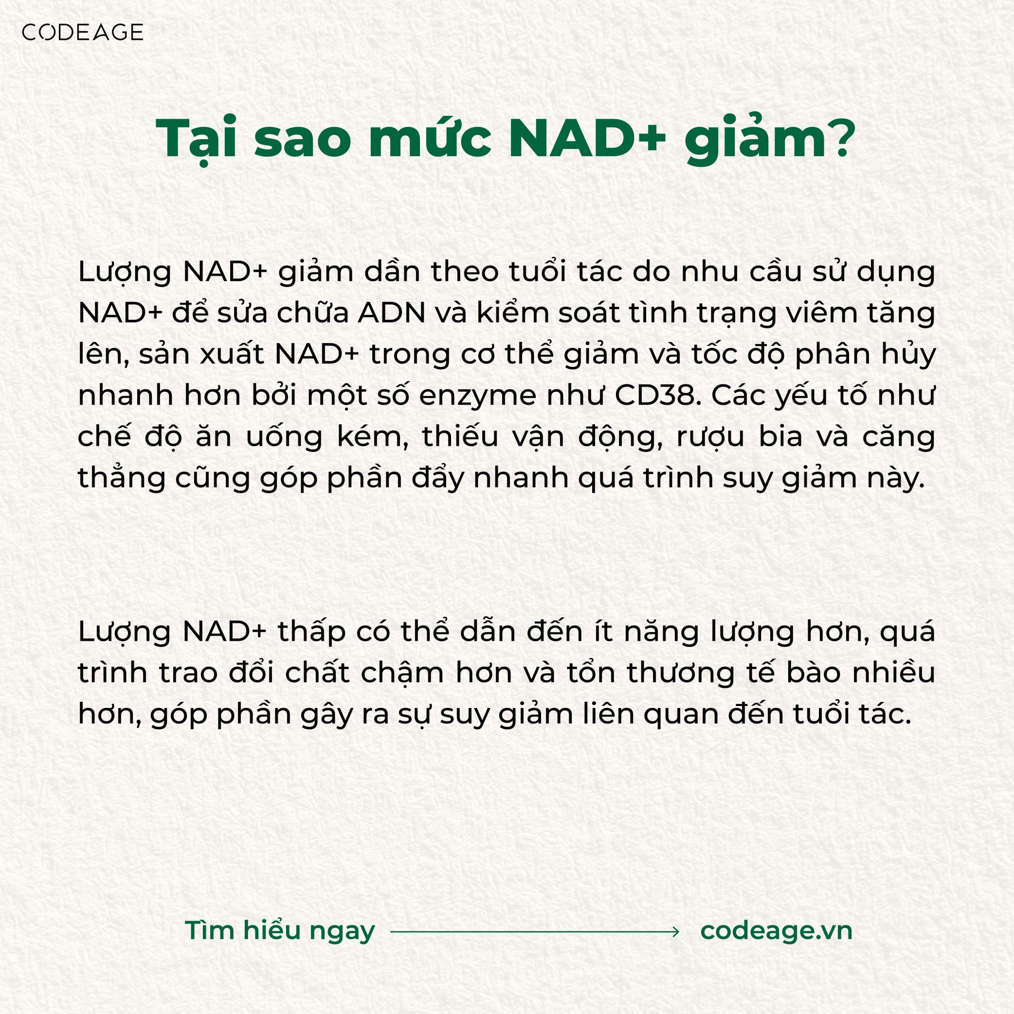 Liposomal NAD+ Codeage – Hỗ Trợ Chống Lão Hóa, Tăng Năng Lượng Tế Bào & Bảo Vệ Sức Khỏe Toàn Diện