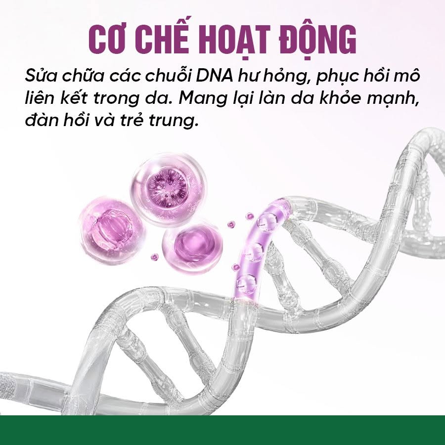 Meso Innoaesthetics DNA PEPT-HA Phục Hồi, Tái Tạo Và Trẻ Hóa Da
