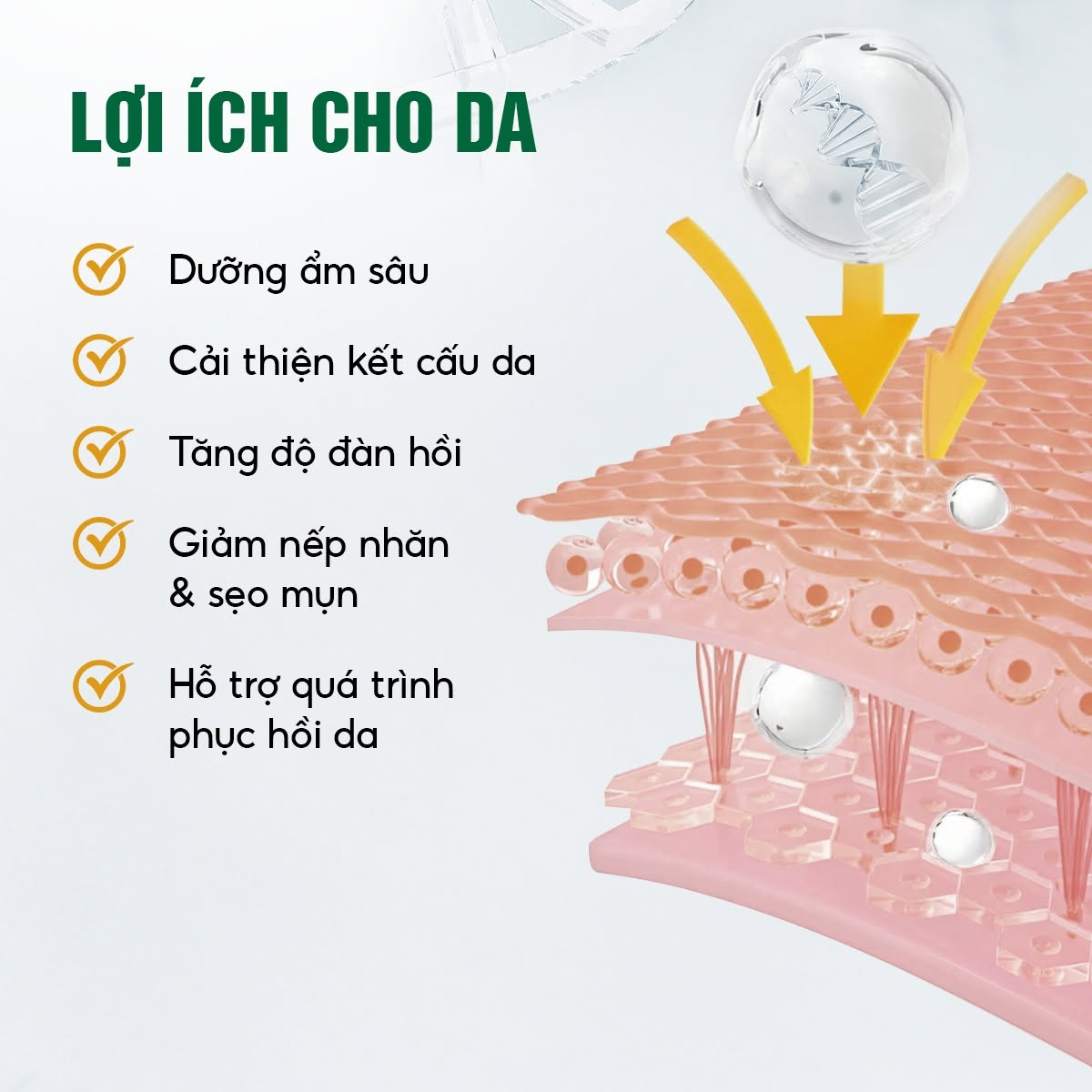 Meso Innoaesthetics DNA PEPT-HA Phục Hồi, Tái Tạo Và Trẻ Hóa Da