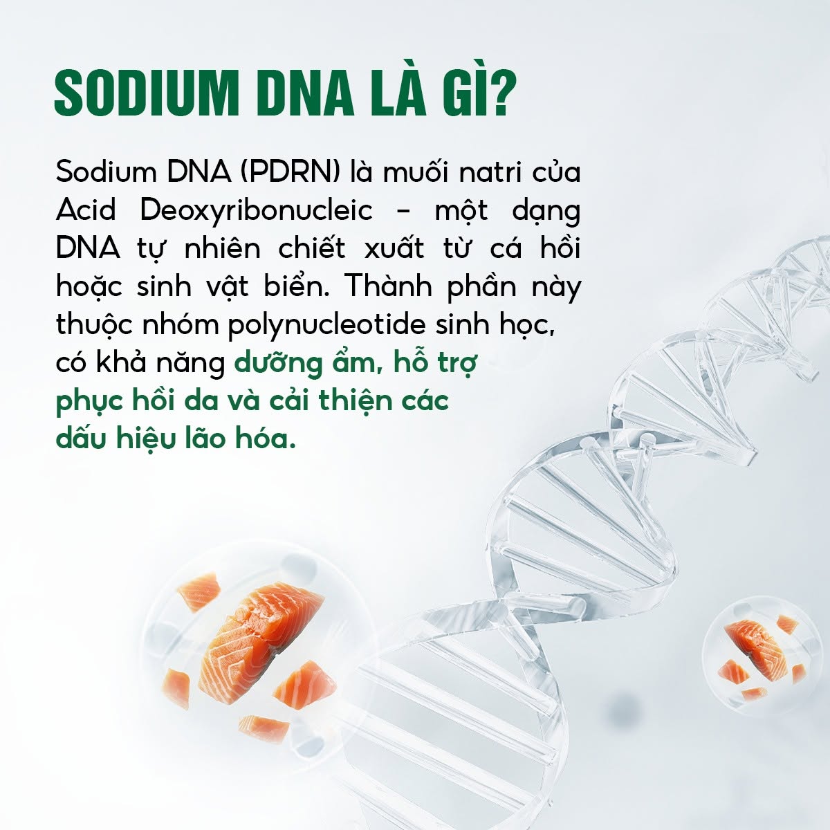 Meso Innoaesthetics DNA PEPT-HA Phục Hồi, Tái Tạo Và Trẻ Hóa Da