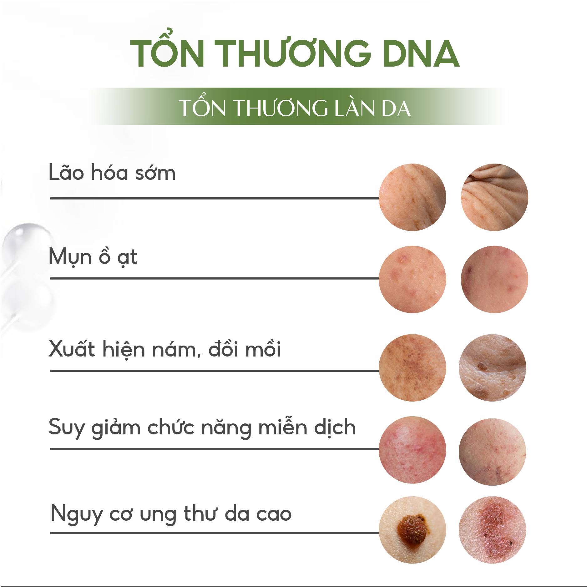 Meso Innoaesthetics DNA PEPT-HA Phục Hồi, Tái Tạo Và Trẻ Hóa Da